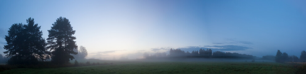 Fototapeta Misty meadow at dawn  obraz