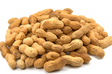 Erdnüsse - Arachis hypogaea