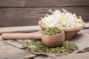 Bowl with Mungbean Sprouts