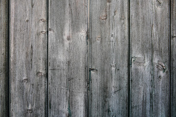 Wood texture