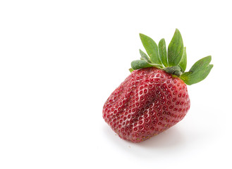 fresh strawberry