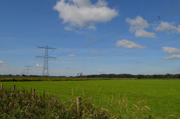 Green polder landscape in summer in the Netherlands