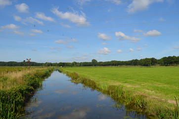 Fototapeta na wymiar Ditch and green meadow in Dutch polder in summer, Breda