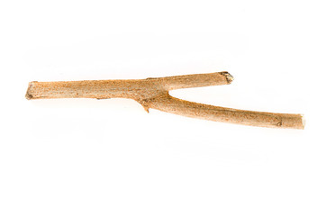 Dry tree branch isolated on white background.
