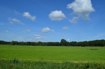 Dutch polder in summer, Breda