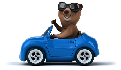 Fun bear