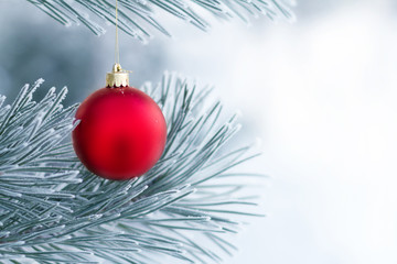 Christmas decorations on the pine branch