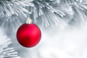 Christmas decorations on the pine branch