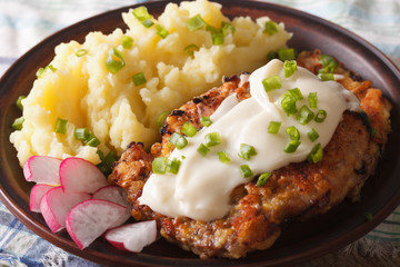 chicken fried steak with mashed potatoes closeup. horizontal
