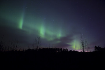 Amazing scenery in the Northern sky. Aurora Borealis is flaming up the sky during early November night.