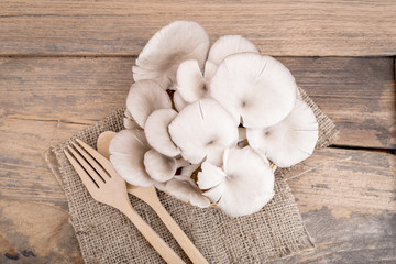 oyster mushroom