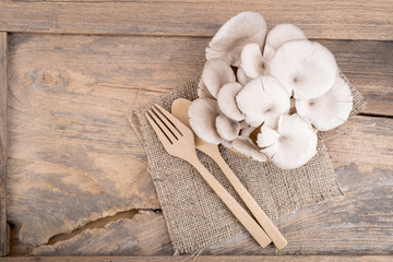 oyster mushroom