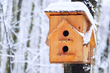 Wooden birdhouse hanging on the tree at winter