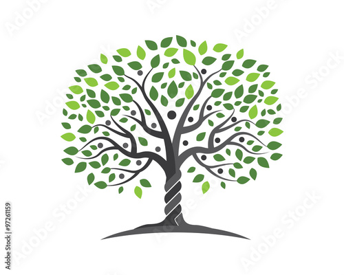  Family Tree Logo Stock image and royalty free vector 