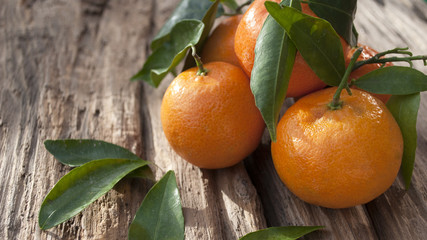 Frische Mandarinen, Clementinen auf Treibholz / Holzbrett