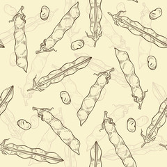 Vector seamless pattern with beans. Hand drawn illustration.