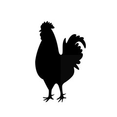Silhouette of a rooster isolated on white