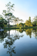 Bright autumn landscape in the city park.,Vachirabenjatas Park (Rot Fai Park) in Thailand