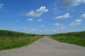 Brick road through Dutch polder, Breda