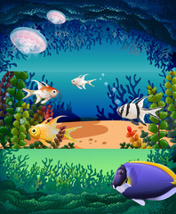 Obraz na płótnie Canvas Fish swimming under the ocean