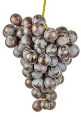 grappe de raisin sur fond blanc