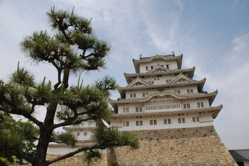 Himeji Castle With Tree, Kansai
