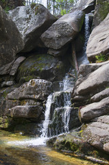 Small creek stream and waterfall