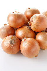 タマネギ　Onion