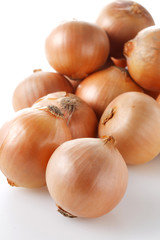 たまねぎ　Onion