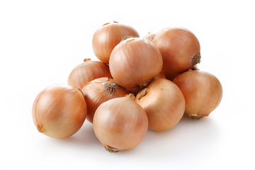 たまねぎ　Onion