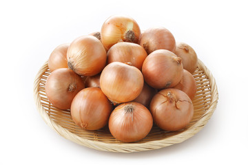 たまねぎ　Onion