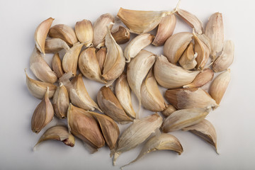 Fresh garlic on white background