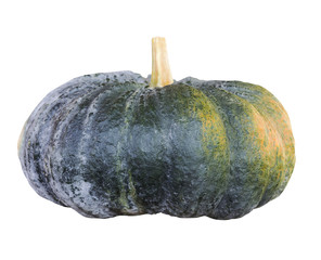 Pumpkin isolated on white background
