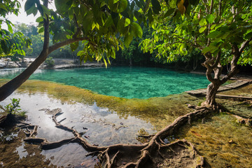 Emerald pool at Krabi Thailand