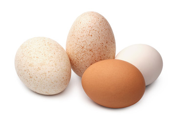 Turkey and hen's eggs