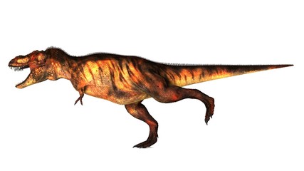 Fototapeta premium Tyrannosaurus