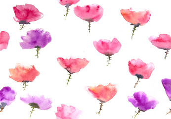 Poppy flowers pattern background