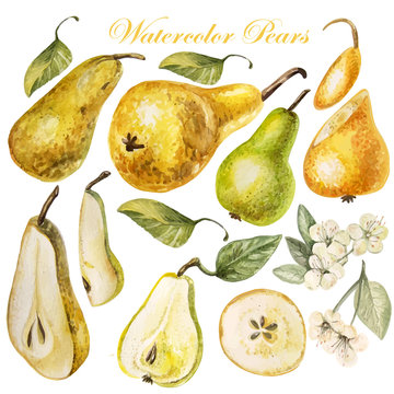 Set with watercolor pears