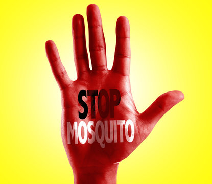 Stop Mosquito written on hand with yellow background