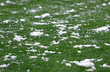 Green grass on a football soccer field