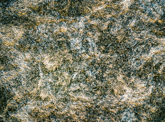 frozen fell