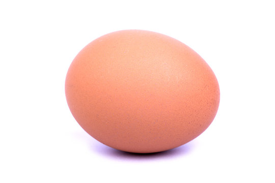 Fresh egg on white background