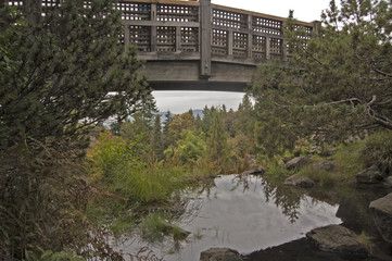 Reine Elizabeth Parc, Vancouver4