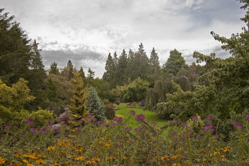 Reine Elizabeth Parc, Vancouver5