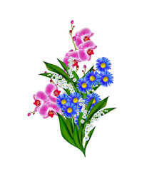 Orchid flower isolated on white background