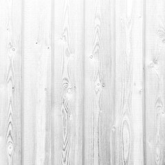 White wood texture pattern background