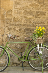 Fototapeta na wymiar Rustic bike carrying daffodils