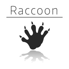 Raccoon animal track