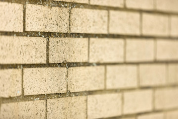 Yellow brick wall
