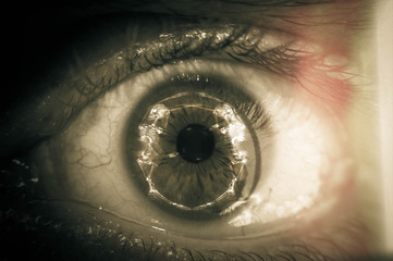 Naklejka premium Macro Eyeball Skeleton